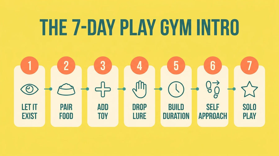 The 7-day puppy play gym introduction timeline: day 1 let it exist, day 2 pair food, day 3 add toy, day 4 drop lure, day 5 build duration, day 6 self approach, day 7 solo play — Nurtino brand infographic
