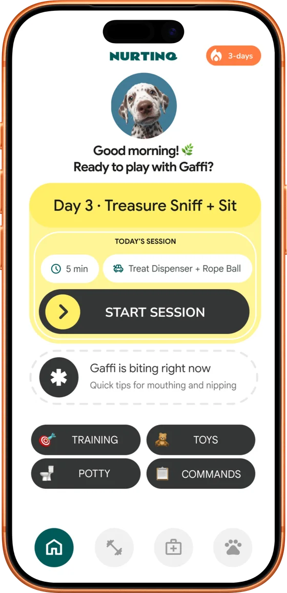 Nurtino app — daily session
