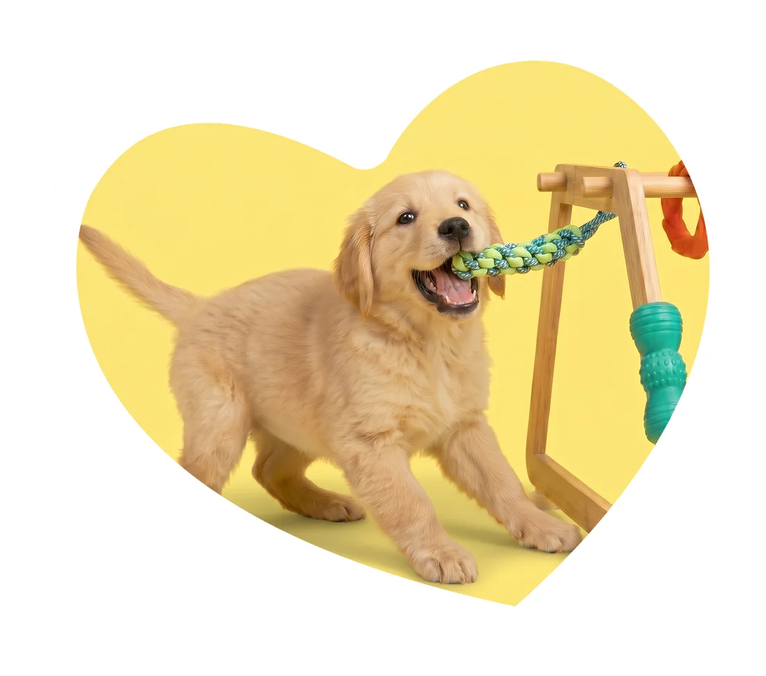 Calm puppy playing with the Nurtino gym