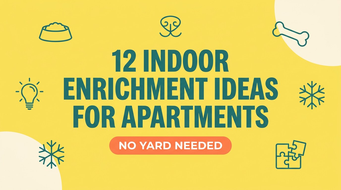 12 indoor puppy enrichment ideas for apartments, no yard needed — Nurtino brand title card infographic
