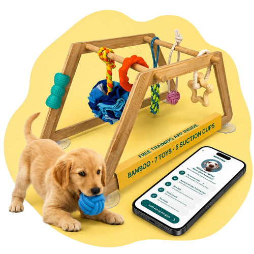Nurtino bamboo puppy play gym with 7 hanging skill-building toys