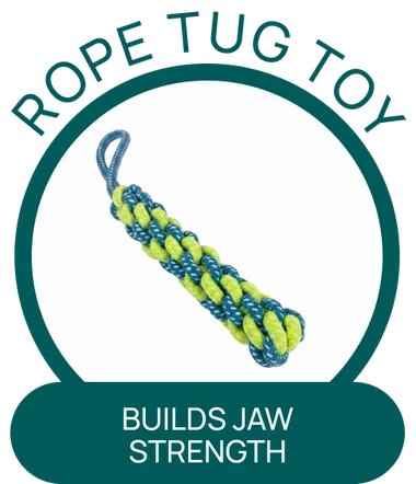 Rope tug toy that builds a puppy's jaw strength