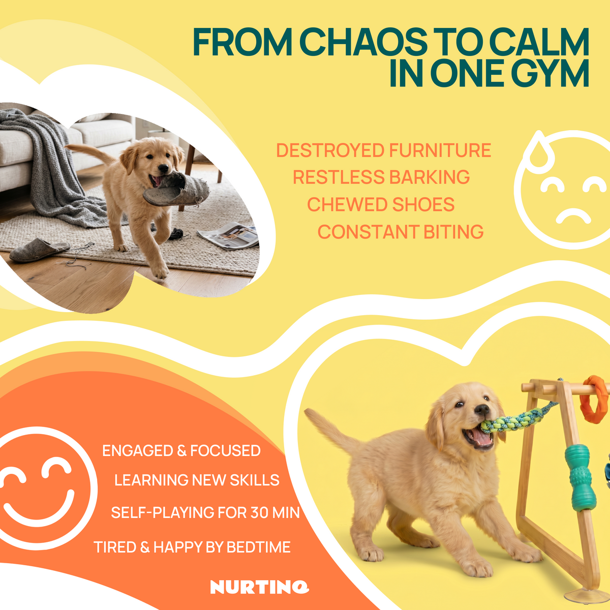 From chaos to calm in one gym: from chewed shoes and constant biting to an engaged puppy who self-plays and is happy by bedtime