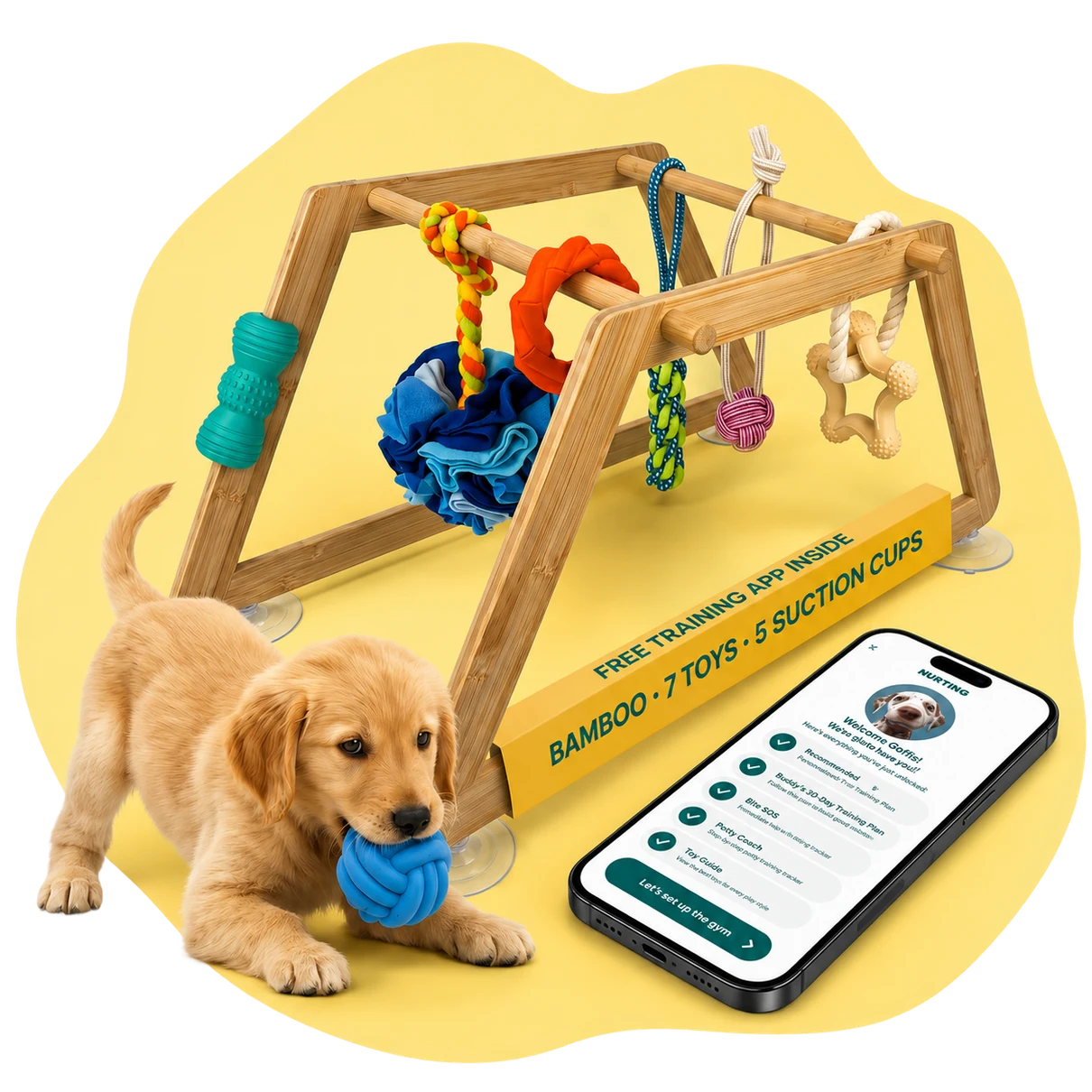 Nurtino Puppy Play Gym with training app
