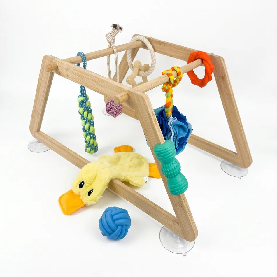 Nurtino puppy play gym — photo 1