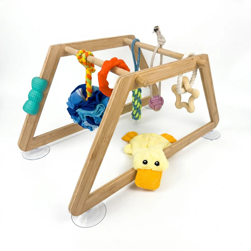 Nurtino puppy play gym — photo 5