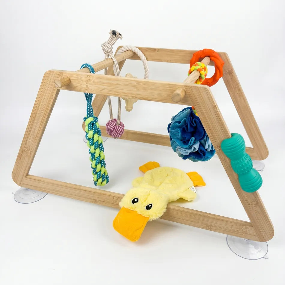 Nurtino puppy play gym — photo 25