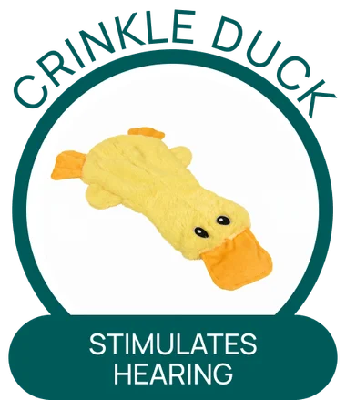 Crinkle Duck — stimulates hearing