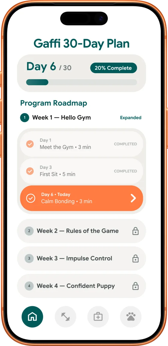 Nurtino app — 30-day plan